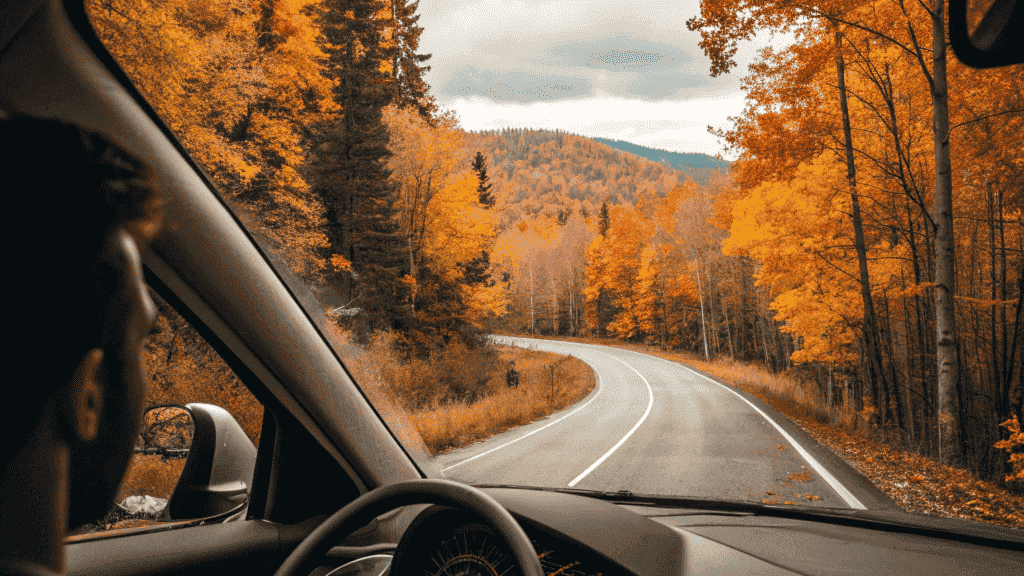 Главные ошибки при аренде авто осенью и как их избежать?